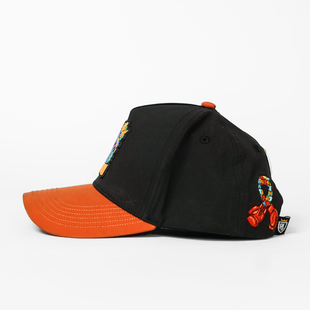Inclusion Hat