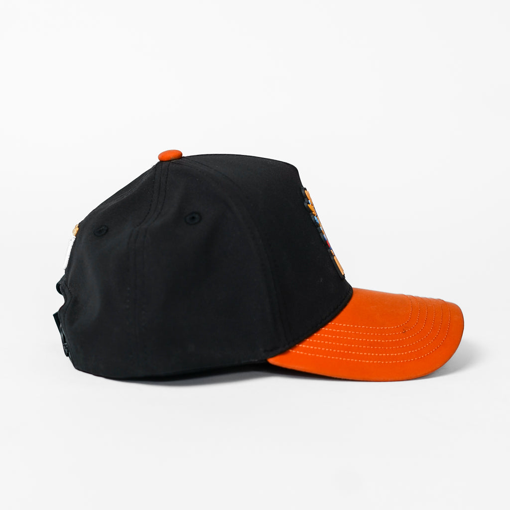 Inclusion Hat